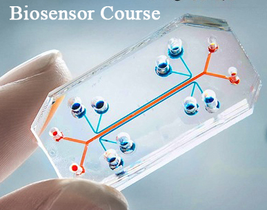Biosensor Course